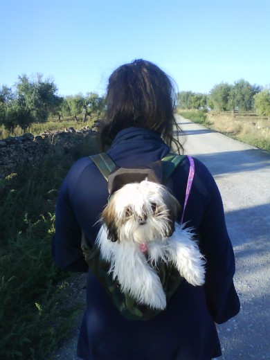 DE PASEO POR EL CAMPO... OTOÑO DEL 2010